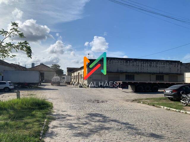 Galpão para Locação em Recife - 4